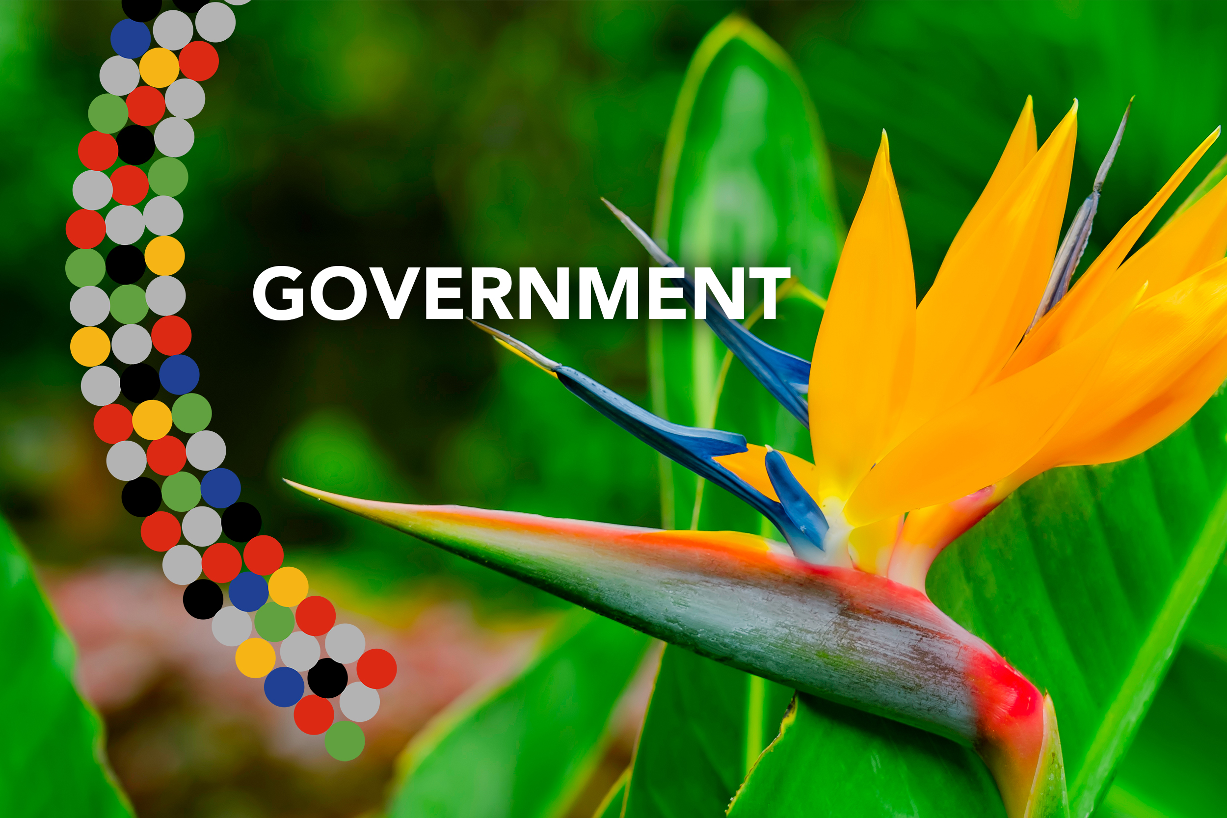 Government